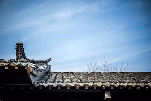 1481534775536772.jpg 回归自然3.jpg